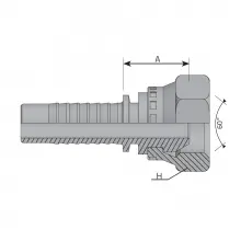 BSPP FEM. 60° CONE 1/4 "